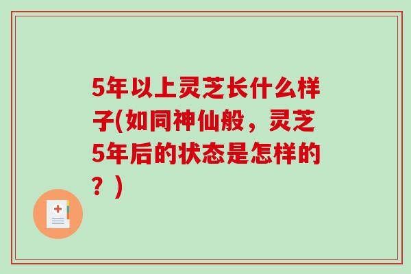 5年以上灵芝长什么样子(如同神仙般，灵芝5年后的状态是怎样的？)