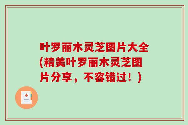 叶罗丽木灵芝图片大全(精美叶罗丽木灵芝图片分享，不容错过！)