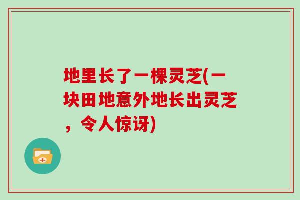 地里长了一棵灵芝(一块田地意外地长出灵芝，令人惊讶)