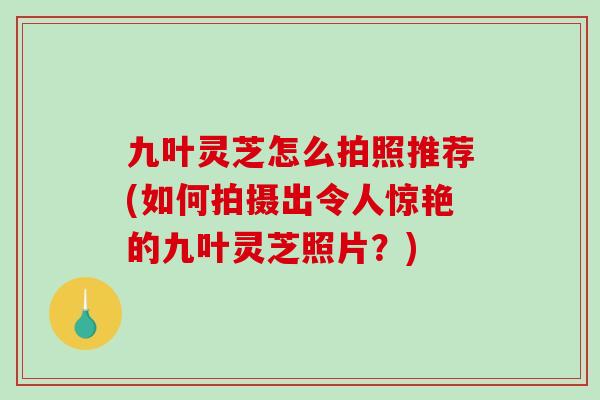 九叶灵芝怎么拍照推荐(如何拍摄出令人惊艳的九叶灵芝照片？)