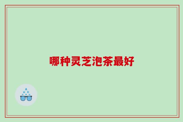 哪种灵芝泡茶好