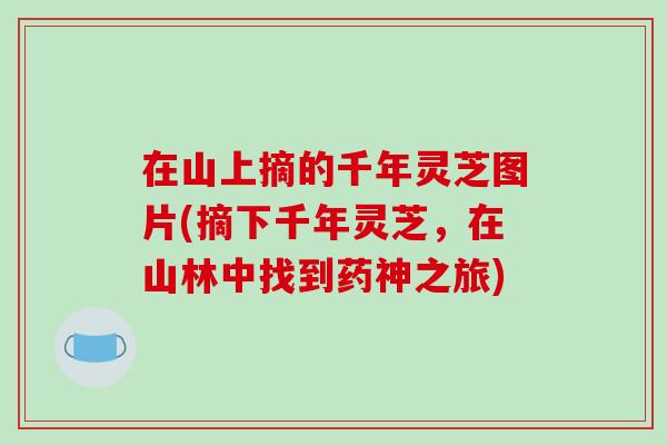 在山上摘的千年灵芝图片(摘下千年灵芝，在山林中找到药神之旅)