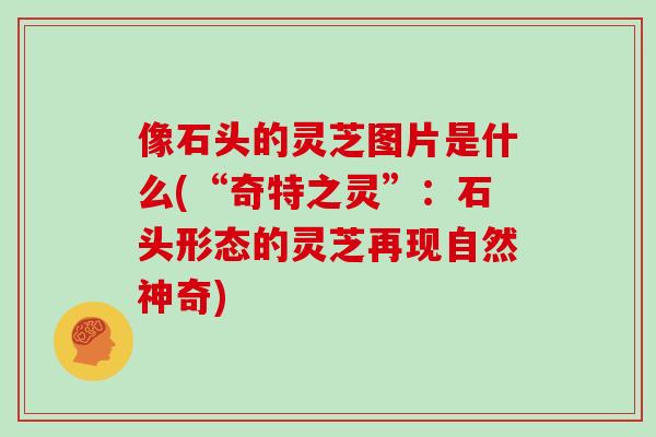 像石头的灵芝图片是什么(“奇特之灵”：石头形态的灵芝再现自然神奇)