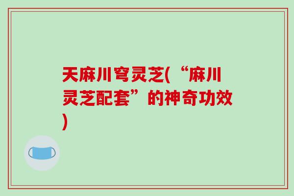 天麻川穹灵芝(“麻川灵芝配套”的神奇功效)