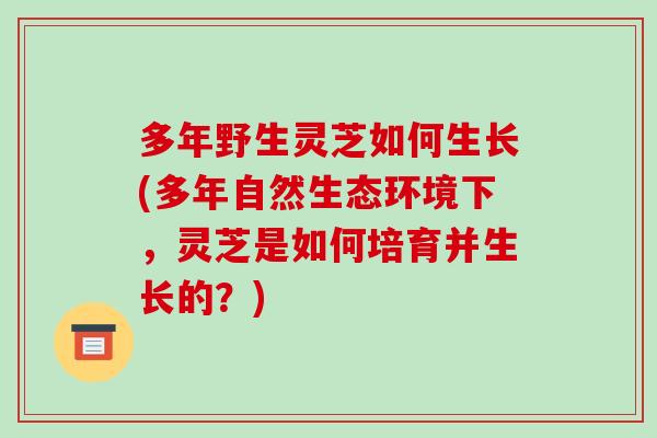 多年野生灵芝如何生长(多年自然生态环境下，灵芝是如何培育并生长的？)