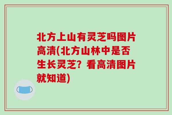 北方上山有灵芝吗图片高清(北方山林中是否生长灵芝？看高清图片就知道)