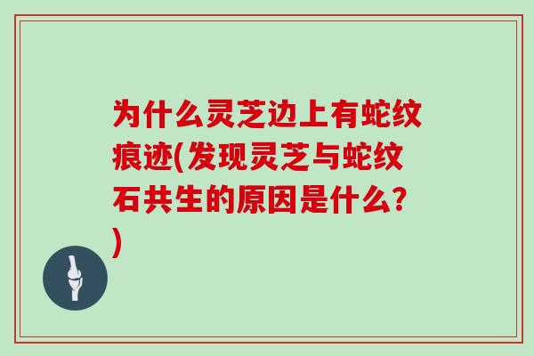 为什么灵芝边上有蛇纹痕迹(发现灵芝与蛇纹石共生的原因是什么？)