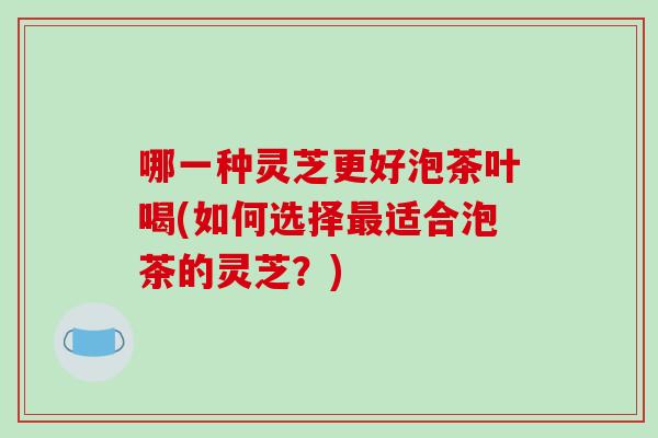 哪一种灵芝更好泡茶叶喝(如何选择适合泡茶的灵芝？)