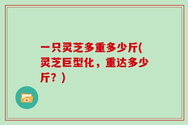 一只灵芝多重多少斤(灵芝巨型化，重达多少斤？)