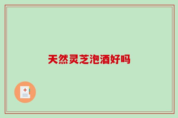 天然灵芝泡酒好吗