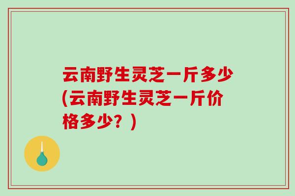 云南野生灵芝一斤多少(云南野生灵芝一斤价格多少？)