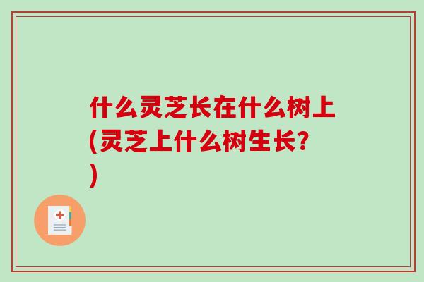 什么灵芝长在什么树上(灵芝上什么树生长？)