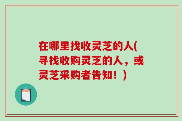 在哪里找收灵芝的人(寻找收购灵芝的人，或灵芝采购者告知！)