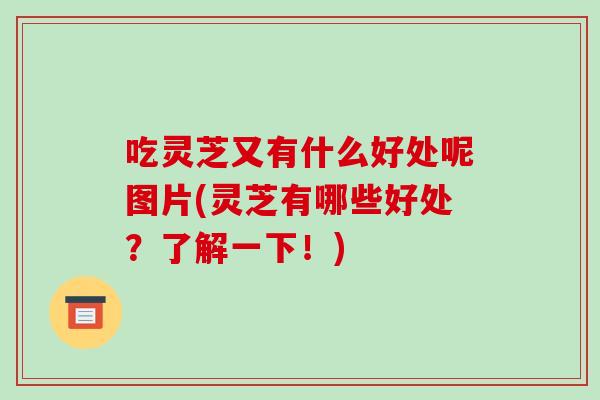 吃灵芝又有什么好处呢图片(灵芝有哪些好处？了解一下！)