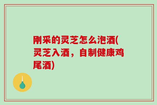 刚采的灵芝怎么泡酒(灵芝入酒，自制健康鸡尾酒)