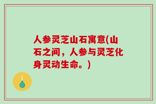 人参灵芝山石寓意(山石之间，人参与灵芝化身灵动生命。)