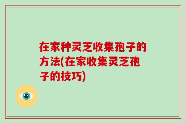 在家种灵芝收集孢子的方法(在家收集灵芝孢子的技巧)