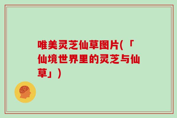 唯美灵芝仙草图片(「仙境世界里的灵芝与仙草」)