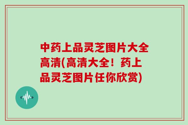 上品灵芝图片大全高清(高清大全！药上品灵芝图片任你欣赏)