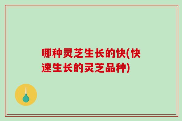 哪种灵芝生长的快(快速生长的灵芝品种)