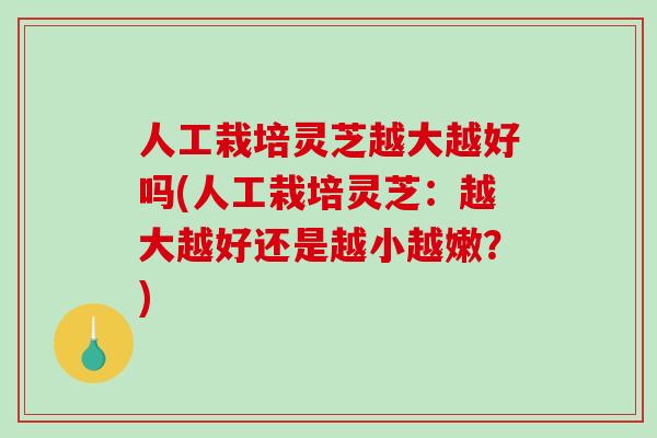 人工栽培灵芝越大越好吗(人工栽培灵芝：越大越好还是越小越嫩？)