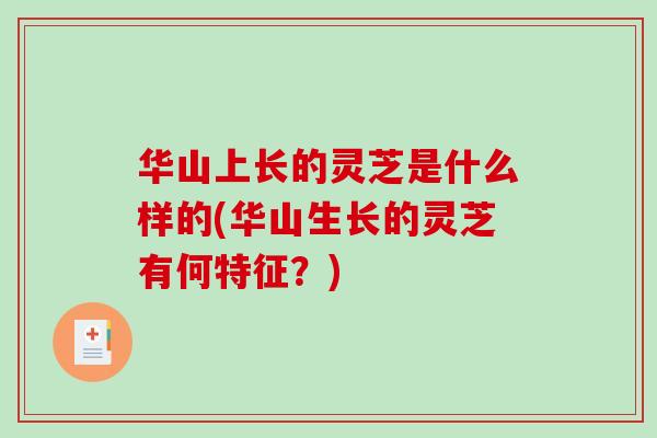 华山上长的灵芝是什么样的(华山生长的灵芝有何特征？)
