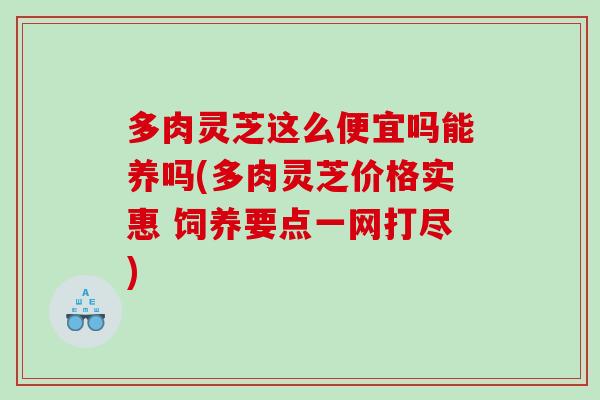多肉灵芝这么便宜吗能养吗(多肉灵芝价格实惠 饲养要点一网打尽)