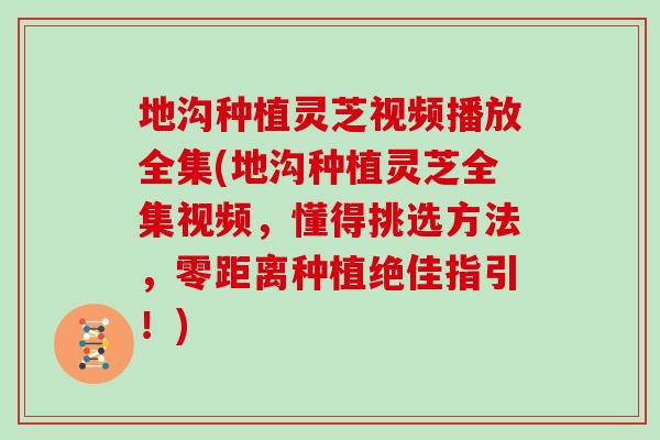 地沟种植灵芝视频播放全集(地沟种植灵芝全集视频，懂得挑选方法，零距离种植绝佳指引！)