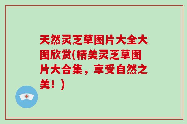 天然灵芝草图片大全大图欣赏(精美灵芝草图片大合集，享受自然之美！)