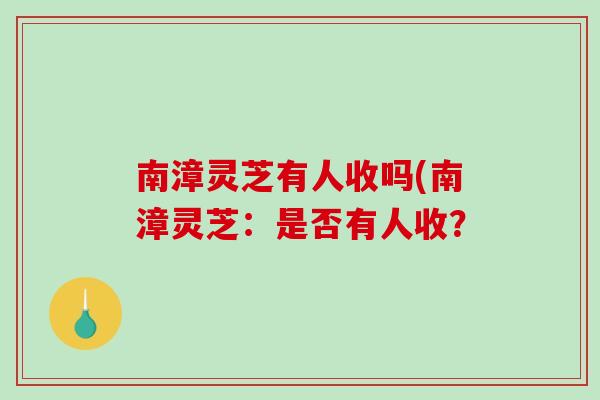 南漳灵芝有人收吗(南漳灵芝：是否有人收？