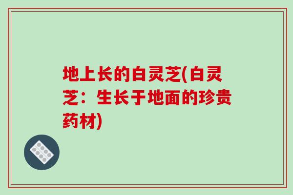 地上长的白灵芝(白灵芝：生长于地面的珍贵药材)