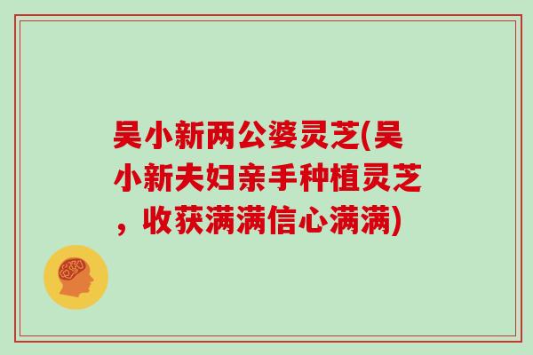 吴小新两公婆灵芝(吴小新夫妇亲手种植灵芝，收获满满信心满满)