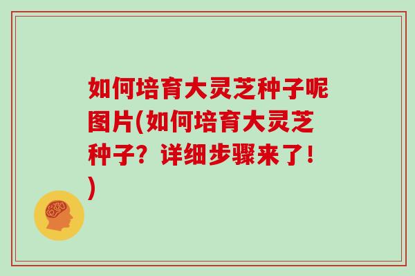 如何培育大灵芝种子呢图片(如何培育大灵芝种子？详细步骤来了！)