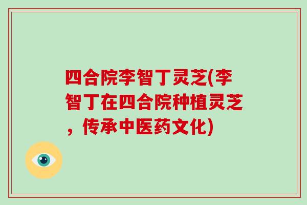 四合院李智丁灵芝(李智丁在四合院种植灵芝，传承中医药文化)