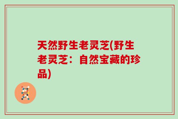 天然野生老灵芝(野生老灵芝：自然宝藏的珍品)