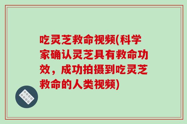 吃灵芝救命视频(科学家确认灵芝具有救命功效，成功拍摄到吃灵芝救命的人类视频)