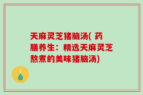 天麻灵芝猪脑汤( 药膳养生：精选天麻灵芝熬煮的美味猪脑汤)