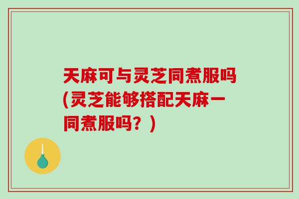 天麻可与灵芝同煮服吗(灵芝能够搭配天麻一同煮服吗？)