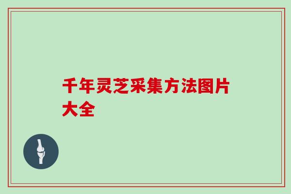 千年灵芝采集方法图片大全 千年灵芝采集方法图片大全