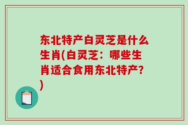东北特产白灵芝是什么生肖(白灵芝：哪些生肖适合食用东北特产？)