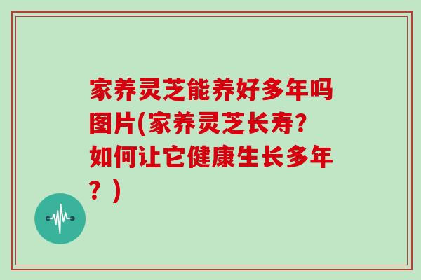 家养灵芝能养好多年吗图片(家养灵芝长寿？如何让它健康生长多年？)