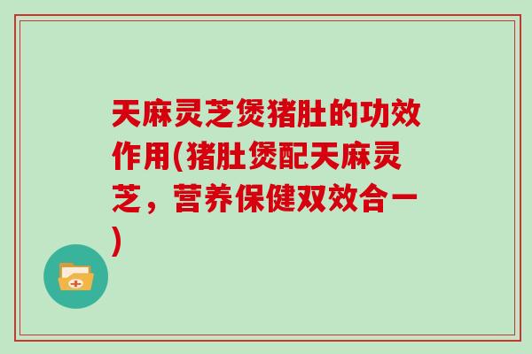 天麻灵芝煲猪肚的功效作用(猪肚煲配天麻灵芝，营养保健双效合一)