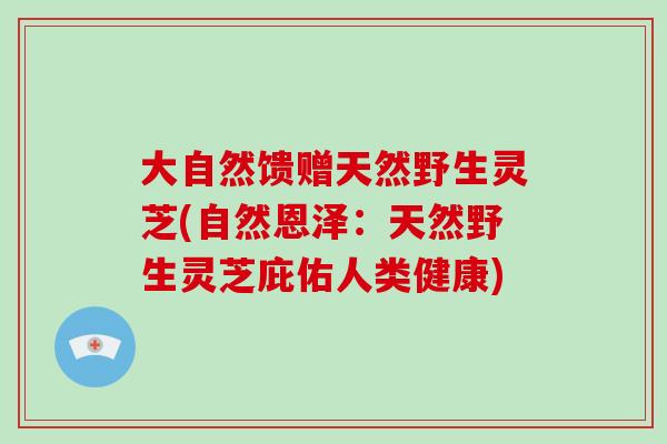 大自然馈赠天然野生灵芝(自然恩泽：天然野生灵芝庇佑人类健康)