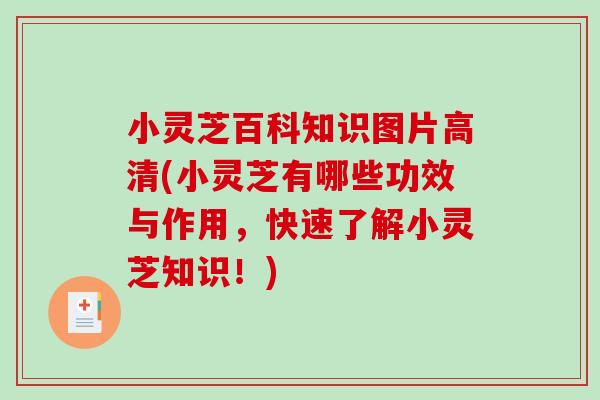 小灵芝百科知识图片高清(小灵芝有哪些功效与作用，快速了解小灵芝知识！)