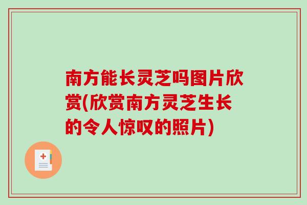 南方能长灵芝吗图片欣赏(欣赏南方灵芝生长的令人惊叹的照片)