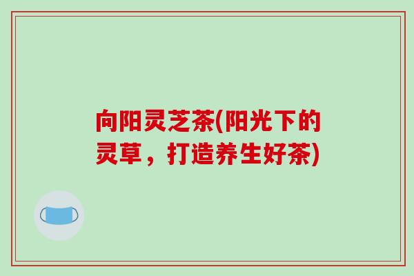 向阳灵芝茶(阳光下的灵草，打造养生好茶)