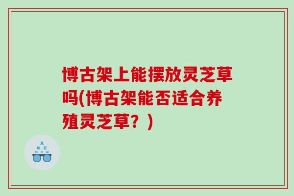 博古架上能摆放灵芝草吗(博古架能否适合养殖灵芝草？)