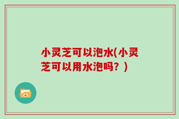 小灵芝可以泡水(小灵芝可以用水泡吗?) 小灵芝可以泡水(小灵芝可以用水泡吗?)