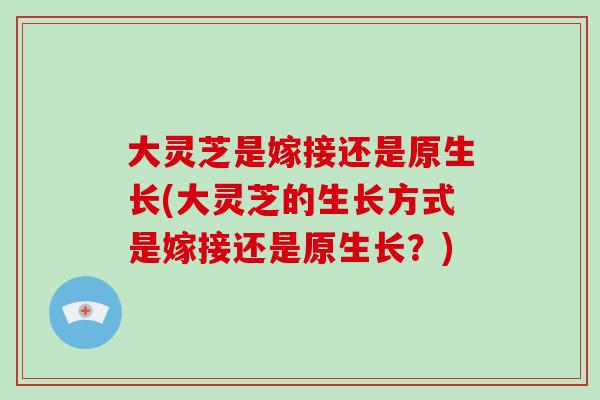 大灵芝是嫁接还是原生长(大灵芝的生长方式是嫁接还是原生长？)