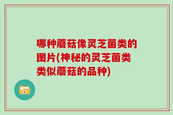 哪种蘑菇像灵芝菌类的图片(神秘的灵芝菌类类似蘑菇的品种)